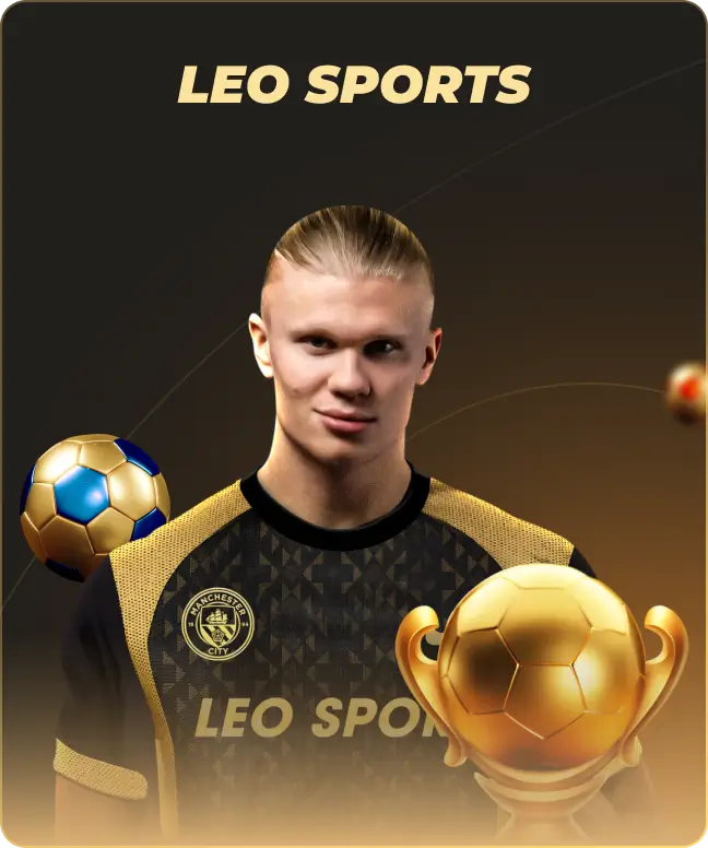 Trang Chủ 241 Ho Leo 1